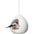 Birdy Bird Feeder